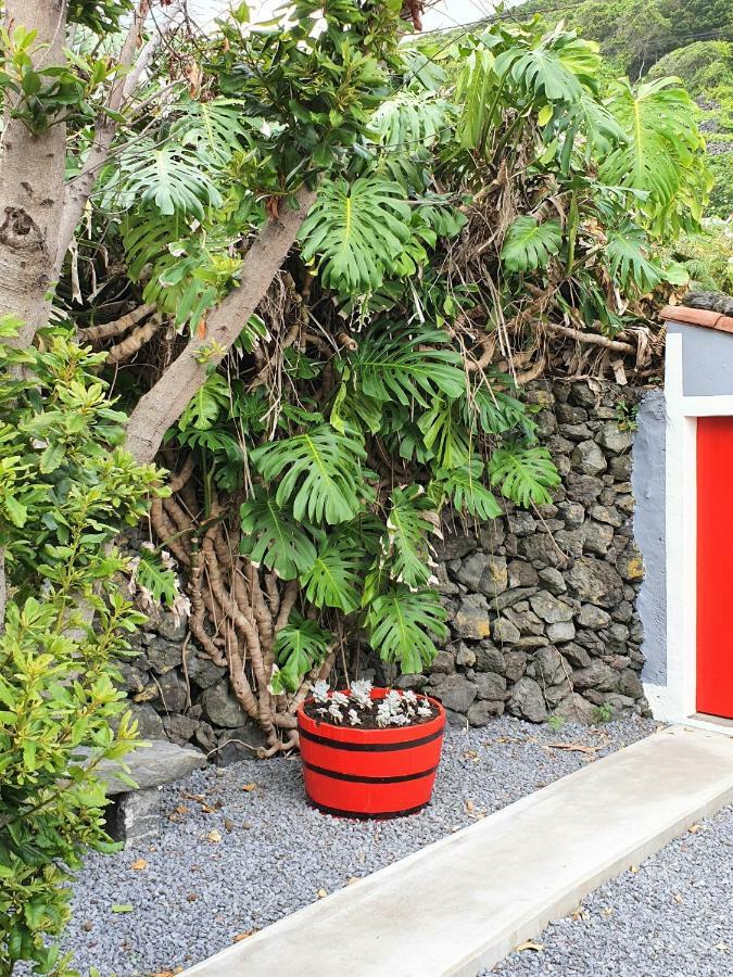 Casinha De Nesquim Villa Calheta de Nesquim Kültér fotó