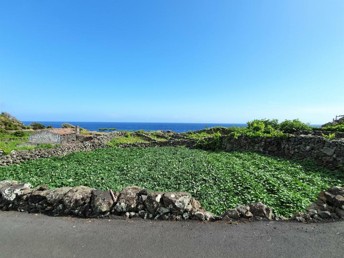 Casinha De Nesquim Villa Calheta de Nesquim Kültér fotó